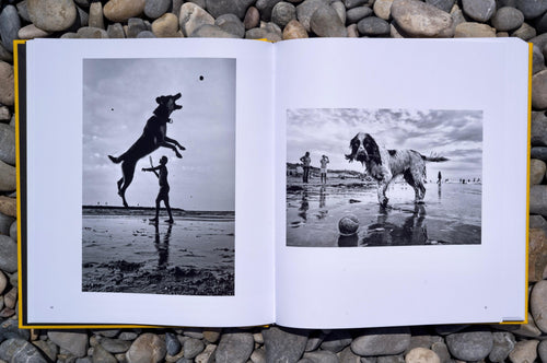 Street Safari by Alan Schaller – Signed First Edition (Signature Included for the First 400 Orders)
