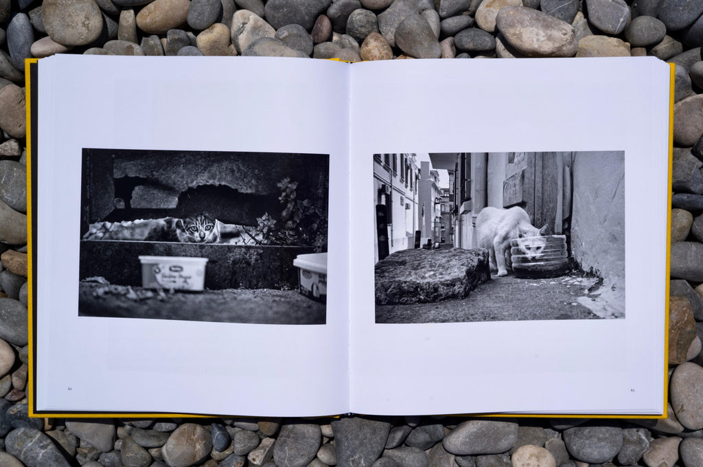 Street Safari by Alan Schaller – Signed First Edition (Signature Included for the First 400 Orders)