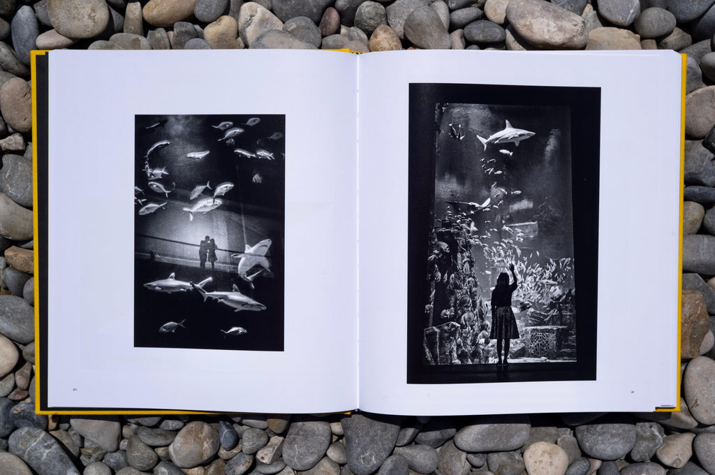 Street Safari by Alan Schaller – Signed First Edition (Signature Included for the First 400 Orders)