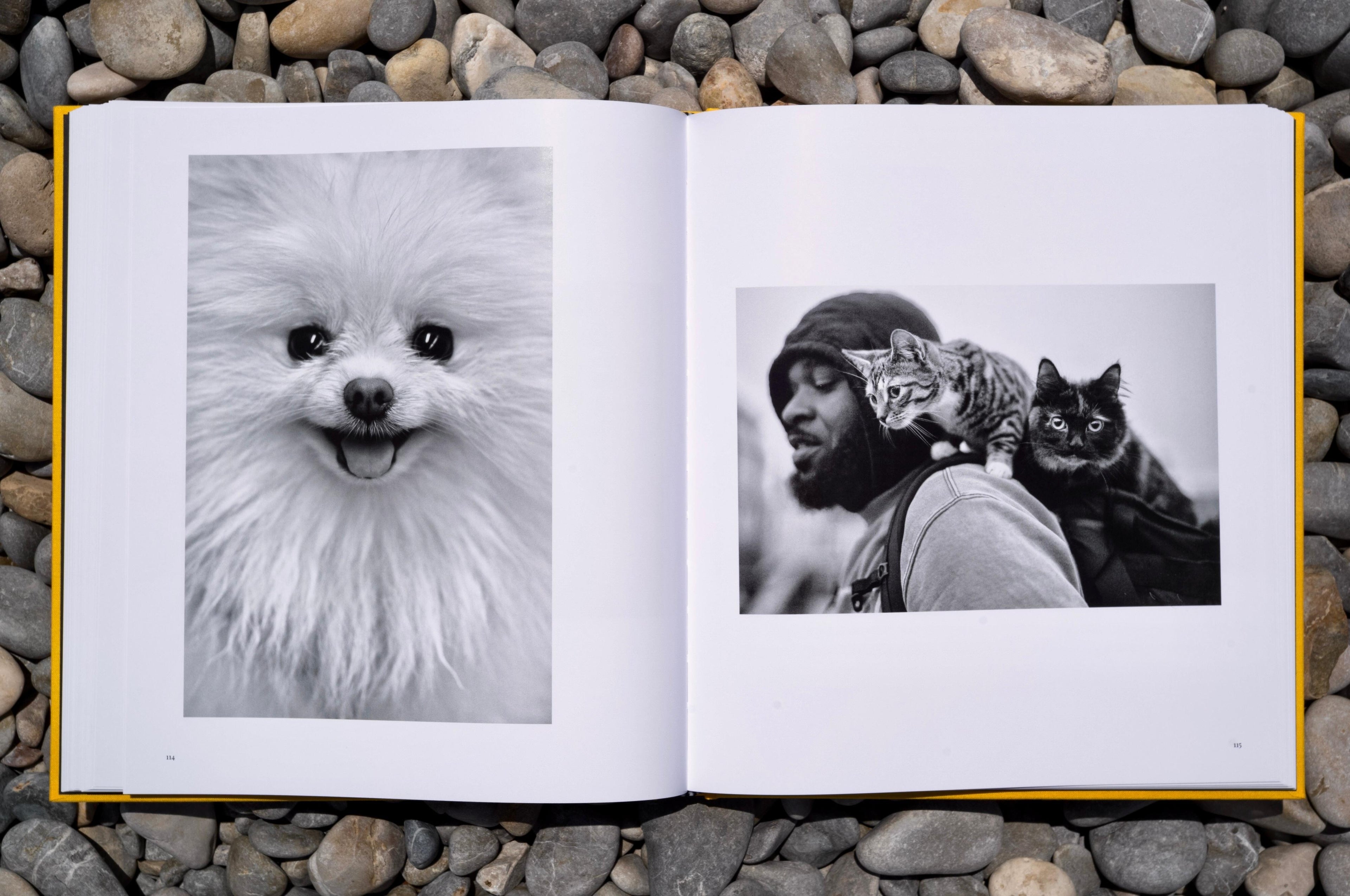 Street Safari by Alan Schaller – Signed First Edition (Signature Included for the First 400 Orders)
